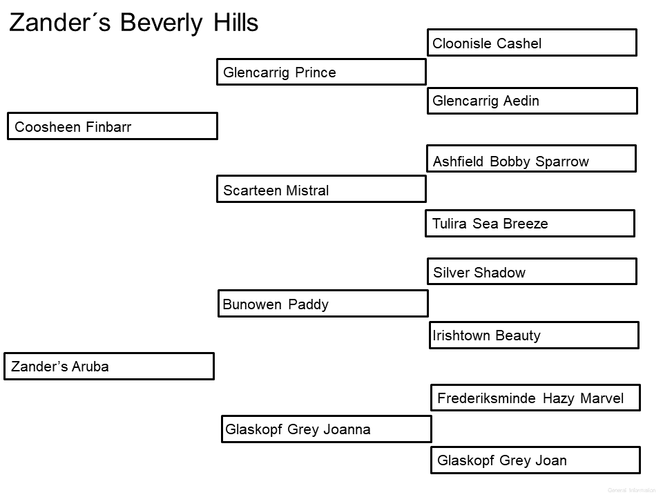 Beverly Hills stamtavla
